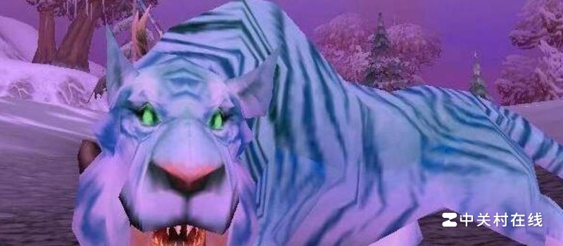 巫妖王版本猎人宝宝用什么好 巫妖王版本猎人宝宝用什么好