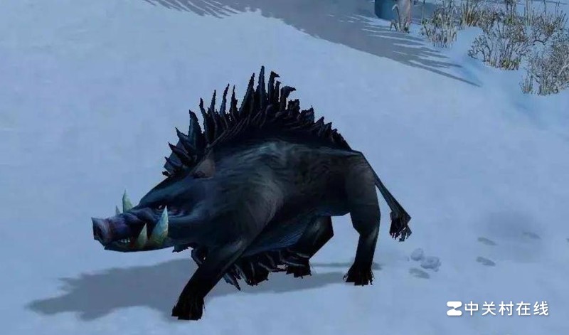 巫妖王版本猎人宝宝用什么好