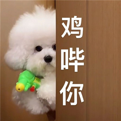 鸡哔你超火表情包 网上超火的鸡哔你表情合集