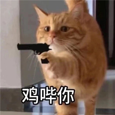 鸡哔你超火表情包 网上超火的鸡哔你表情合集