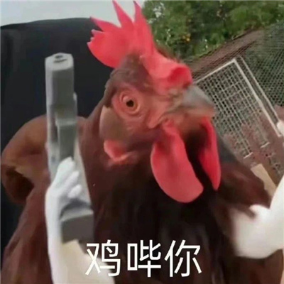 鸡哔你超火表情包 网上超火的鸡哔你表情合集