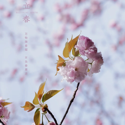 2024立春节气唯美带字图片高清版 换上喜欢的颜色赴一场春天的约会
