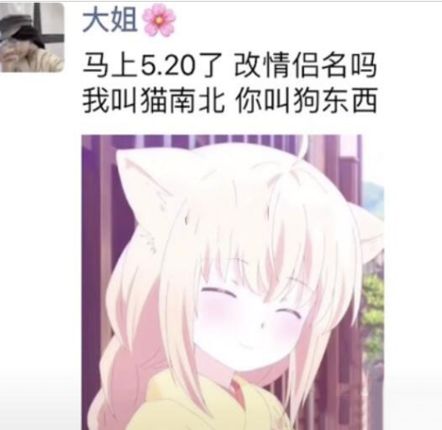 猫南北狗东西是什么梗 猫南北狗东西梗意思介绍