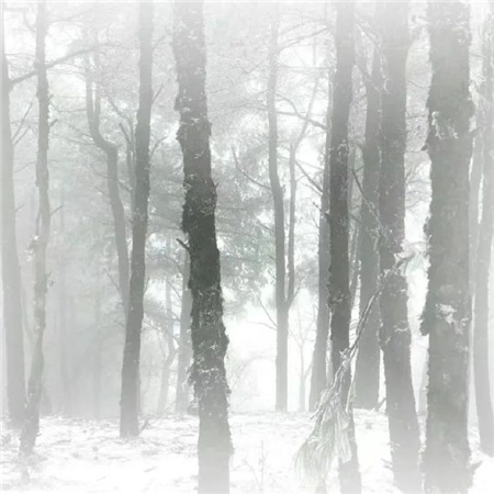 很容易让人emo的配图 真实容易emo的难过配图