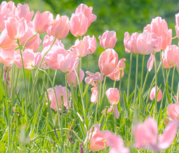 朋友圈会被翻烂的封神短句文案 适合发朋友圈的神仙文案