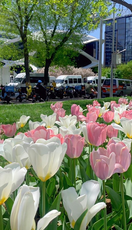张张气质很出众的壁纸 是好看的壁纸没错喽