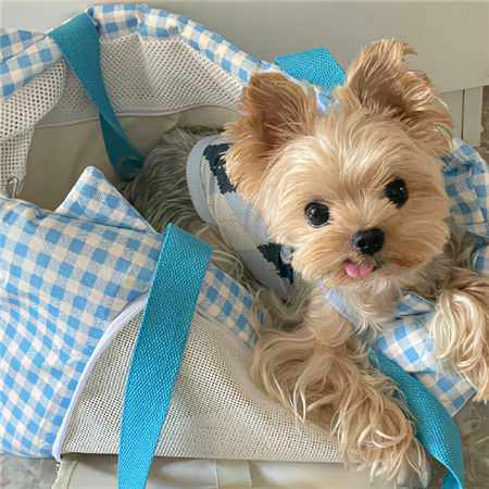 2024小众朋友圈背景图新版 对不起我只想点半杯可乐