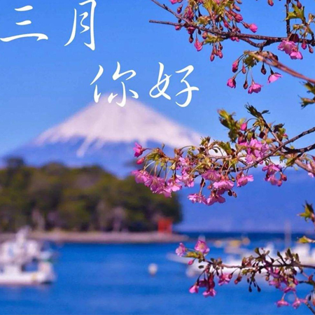 2022二月再见三月你好图片唯美 告别二月迎接新的三月素材合集 2022二月再见三月你好图片唯美 告别二月迎接新的三月素材合集