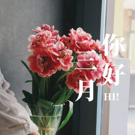2022二月再见三月你好图片唯美 告别二月迎接新的三月素材合集 2022二月再见三月你好图片唯美 告别二月迎接新的三月素材合集