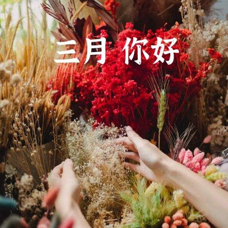 2022二月再见三月你好图片唯美 告别二月迎接新的三月素材合集 2022二月再见三月你好图片唯美 告别二月迎接新的三月素材合集