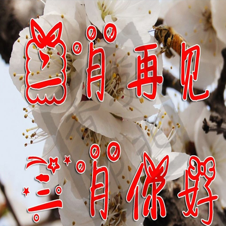 2022二月再见三月你好图片唯美 告别二月迎接新的三月素材合集 2022二月再见三月你好图片唯美 告别二月迎接新的三月素材合集
