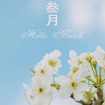 2022二月再见三月你好图片唯美 告别二月迎接新的三月素材合集 2022二月再见三月你好图片唯美 告别二月迎接新的三月素材合集