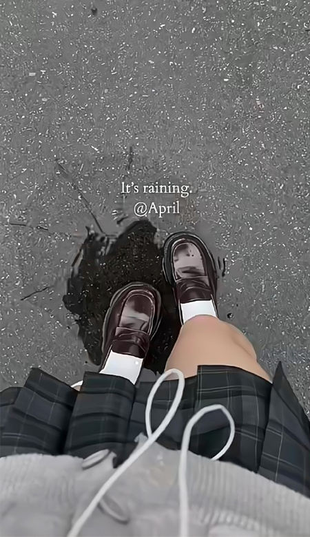 2024可爱的宝藏壁纸全屏高清 又萌又可爱的皮肤大全