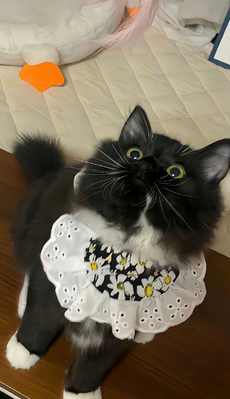 2024能给自己带来好心情的壁纸 好看的壁纸永远不嫌多呀