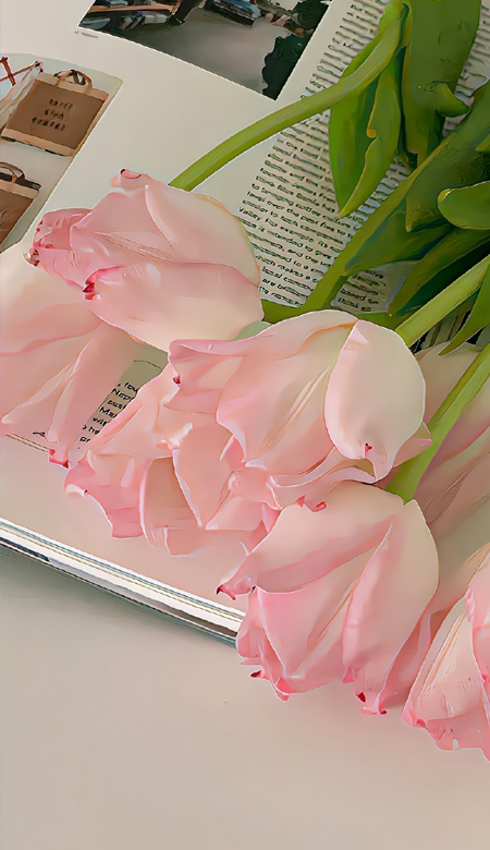 幸运壁纸能给自己带来惊喜 很幸运的全屏壁纸合集