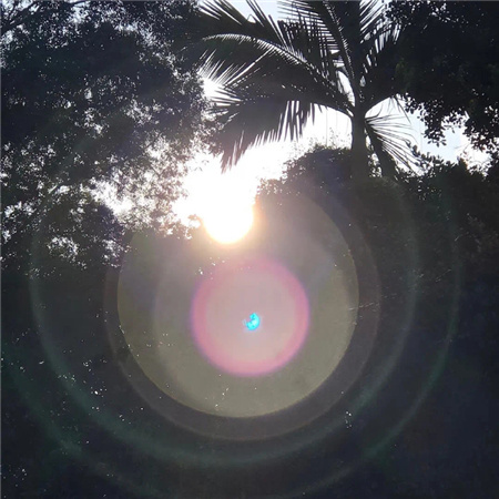 提升气质的清新配图高级 美的出众的小众素材合集