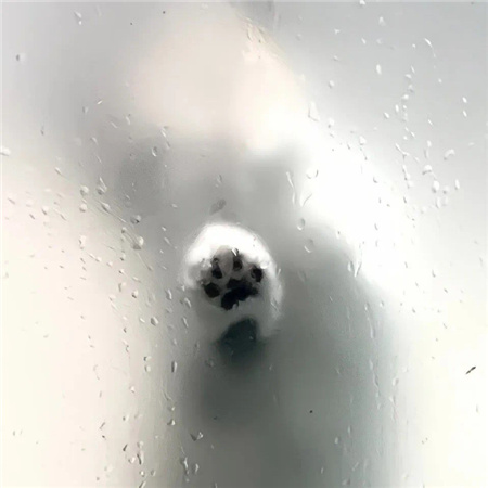 提升气质的清新配图高级 美的出众的小众素材合集