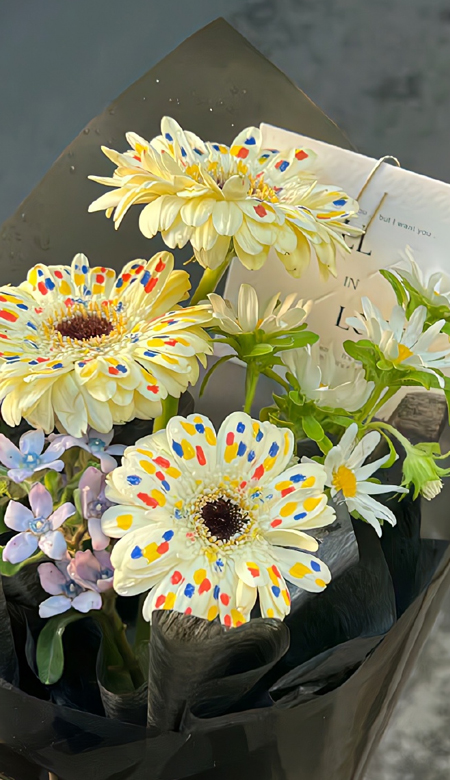 2024小清新壁纸超清抖音上很潮的 火遍全网的清新优质皮肤