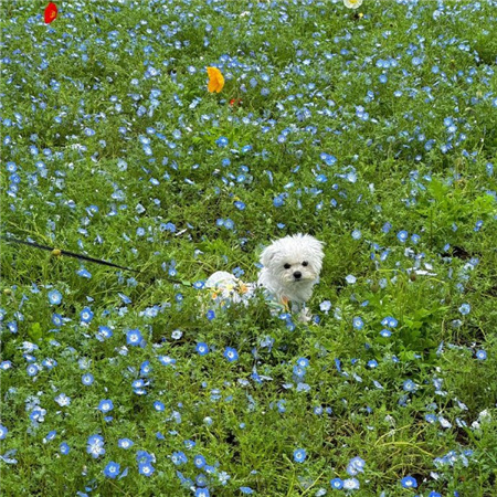 朋友圈背景图ins超美很独特 让人心情惬意的配图大全