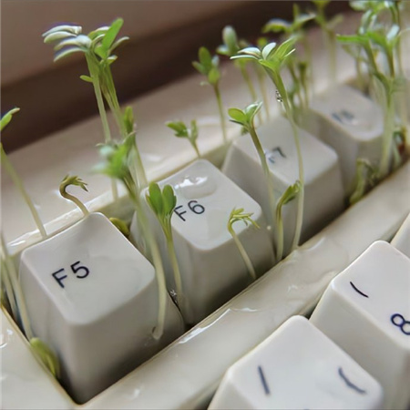 朋友圈背景图ins超美很独特 让人心情惬意的配图大全