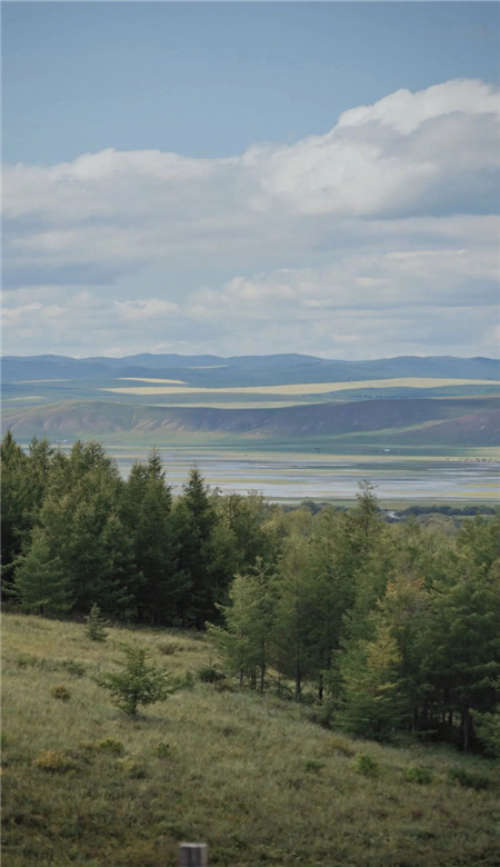 绿色系主题壁纸图片最新版合集 频繁记录着因为生活值得