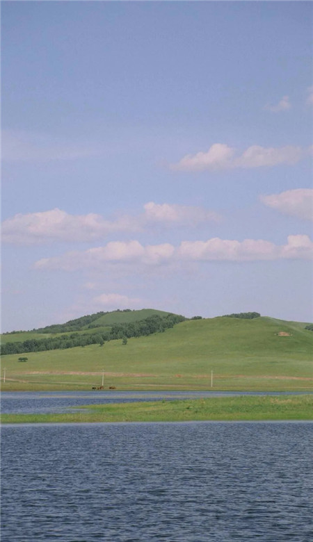 绿色系主题壁纸图片最新版合集 频繁记录着因为生活值得