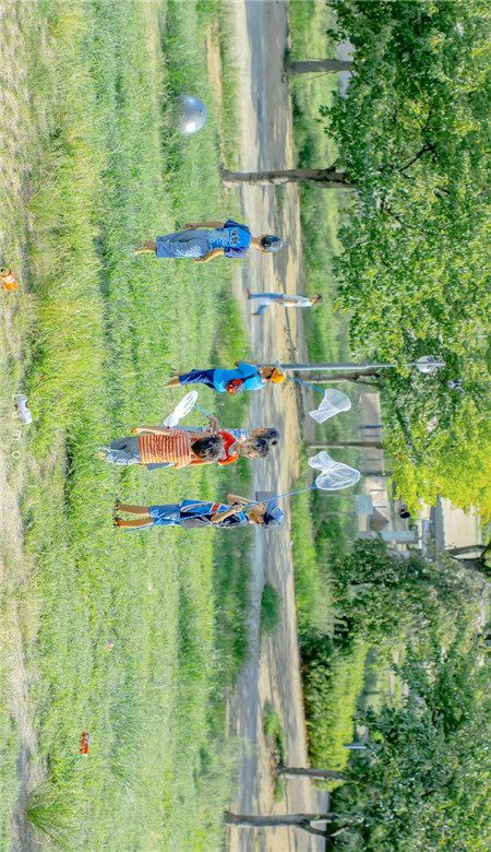 绿色系主题壁纸图片最新版合集 频繁记录着因为生活值得