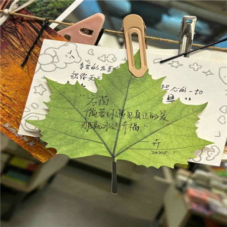 有创意又有趣的文字配图 彰显独特的文字素材