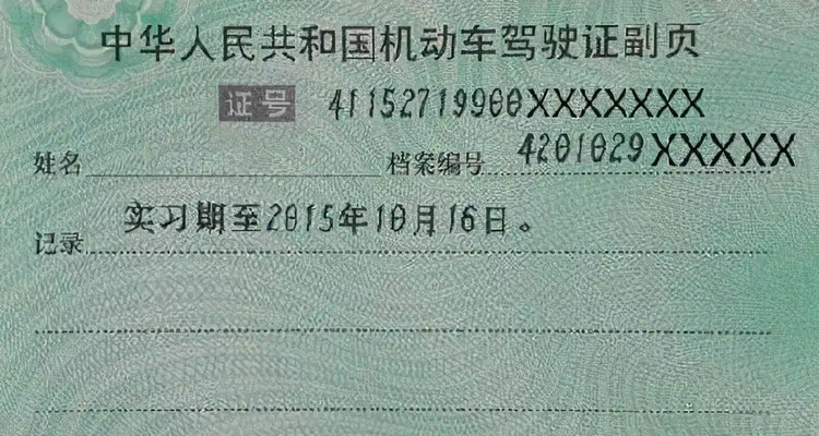 驾照副页丢了怎么办理(驾照副页丢了怎么补办)