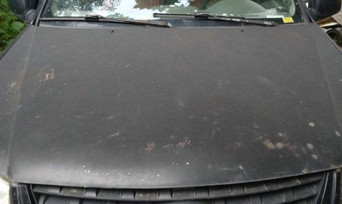 汽车漆面有黑斑怎么处理(汽车漆面有黑斑怎么办)