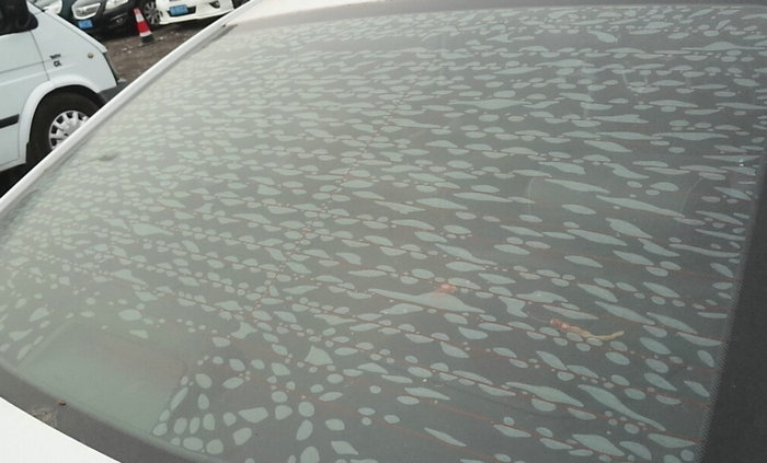 车窗膜起泡了怎么处理(车窗膜起泡了怎么修复)