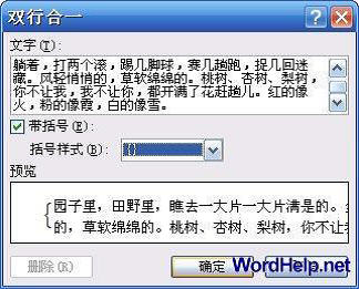 Word2007双行合一如何设置