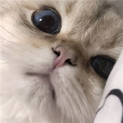 私藏高级小众感头像合集 漏了气的汽水是我的人生