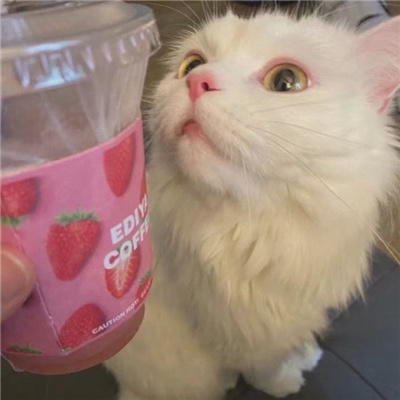 私藏高级小众感头像合集 漏了气的汽水是我的人生