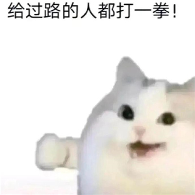万能发癫微信表情包 给过路的人都打一拳