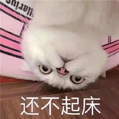 万能发癫微信表情包 给过路的人都打一拳