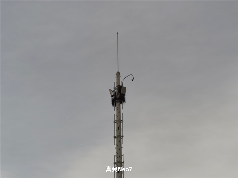 续航超强、游戏无敌！真我Neo7深度评测：一款更懂年轻人的天玑9300+电竞旗舰