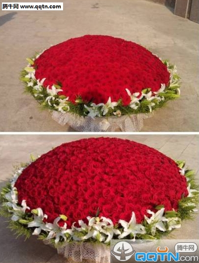 玫瑰花图片大全999朵情人节专属 你收到过玫瑰花吗