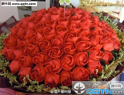 玫瑰花图片大全999朵情人节专属 你收到过玫瑰花吗