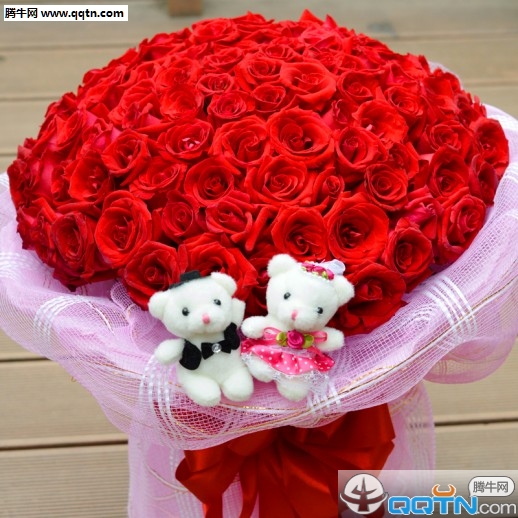 玫瑰花图片大全999朵情人节专属 你收到过玫瑰花吗