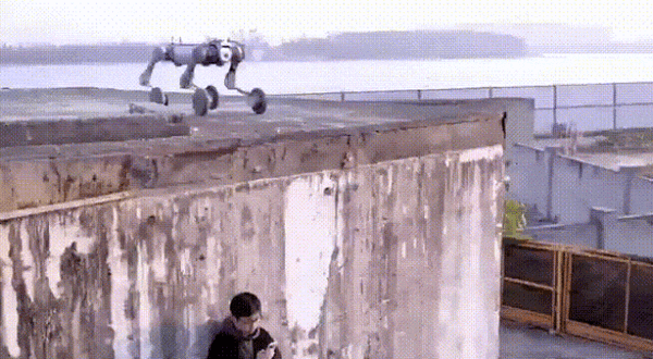 中国先进机器狗引发全球轰动 宇树科技大量招兵买马：算法工程师年薪超90万元