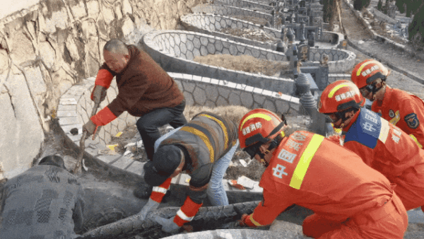 福建惊现50斤“护墓”巨蟒：体长3米 5个人才抓住