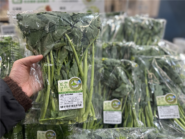 板蓝根青菜上线郑州盒马 力压香椿成新晋春菜顶流