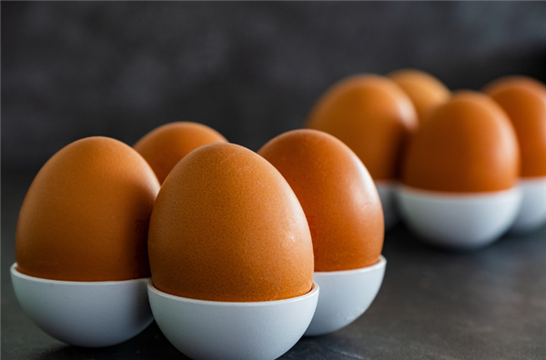 一鸡难求！美国掀起母鸡租赁热潮：蛋价还将上涨20%