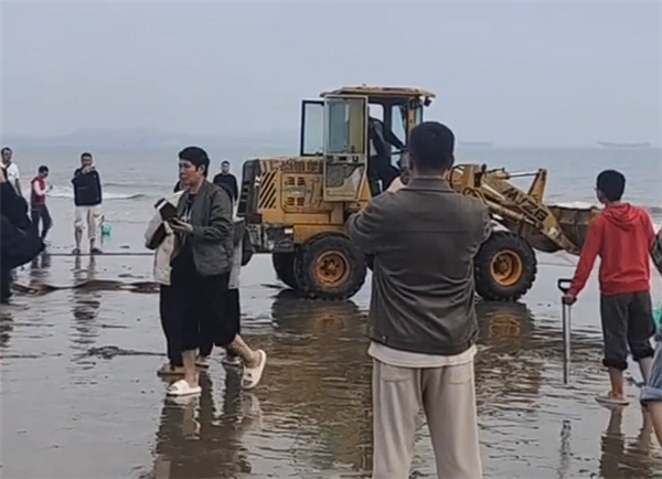 特斯拉Model 3深陷海滩：越野车、皮卡救援无果 还得铲车上！