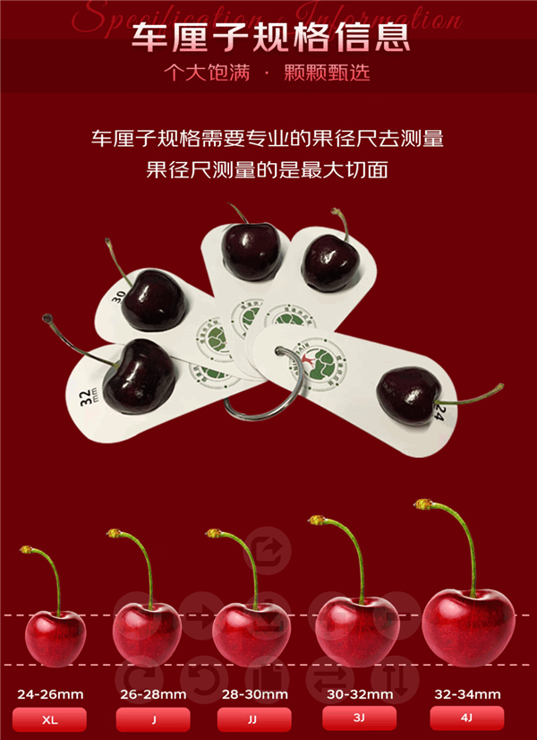 京东生鲜京东自营官方发车！智利2J车厘子大促：19.9元/斤