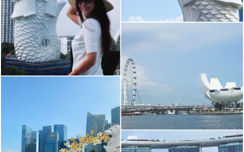 新加坡游玩全攻略！解锁不寻常的狮城！