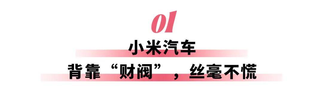 新势力2024财报：小米毛利逼近理想，小鹏又“肥”来了