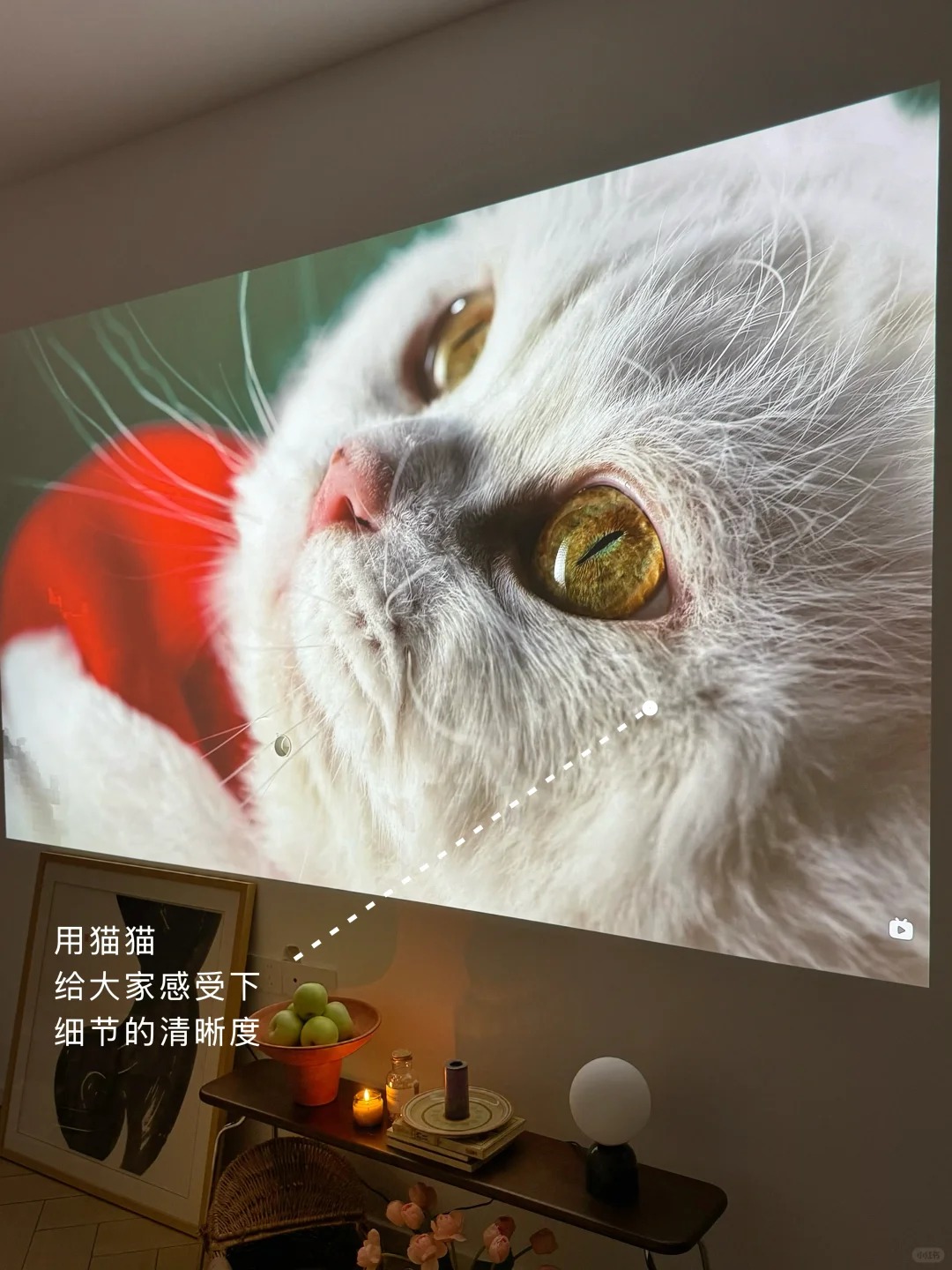 2025家用投影清晰度大比拼，当贝F7 Pro脱颖而出