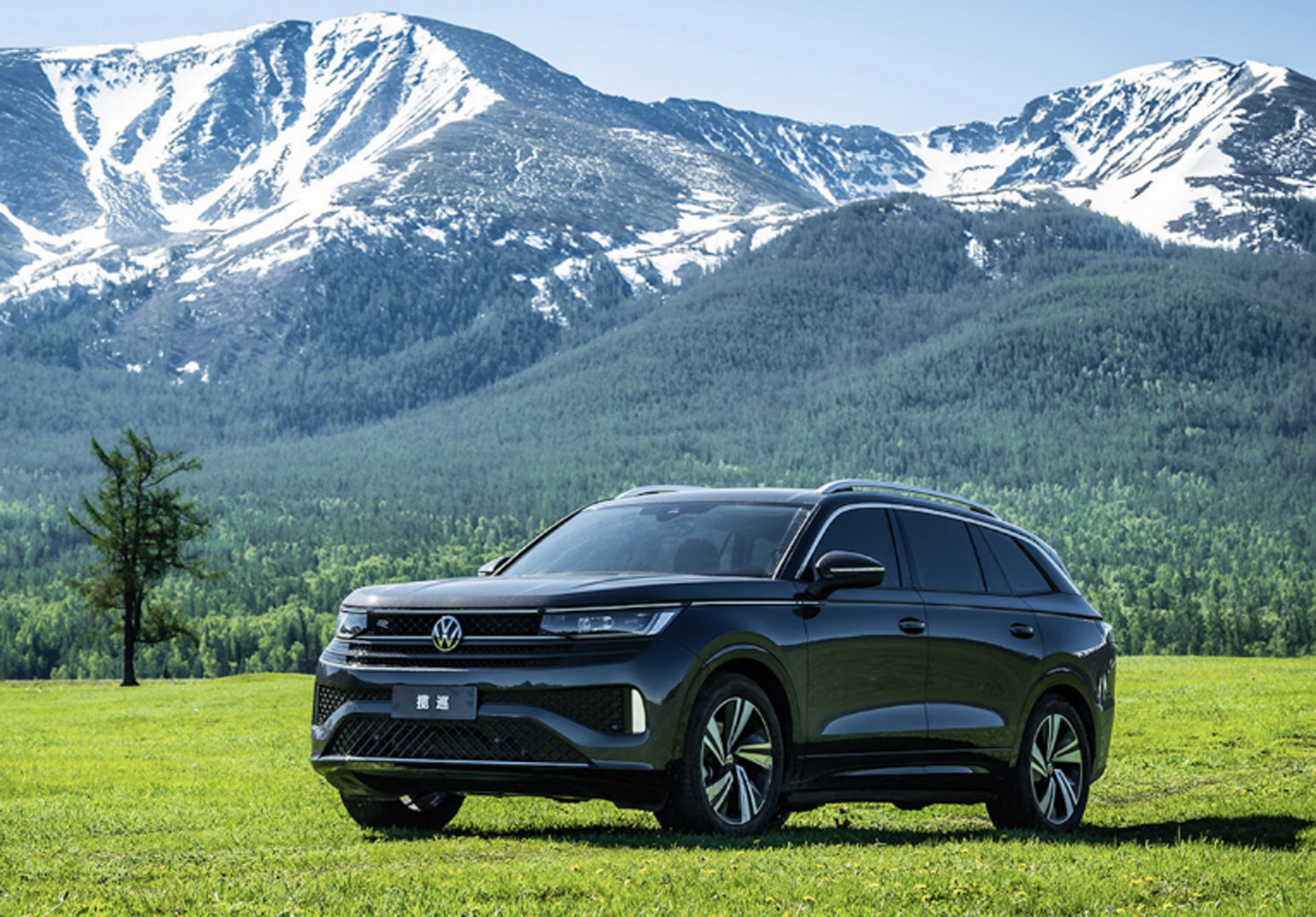 "双揽"终身质保破局 一汽-大众卷品质、卷服务展匠心